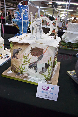 Class E: Fantasy Winter Wonderland