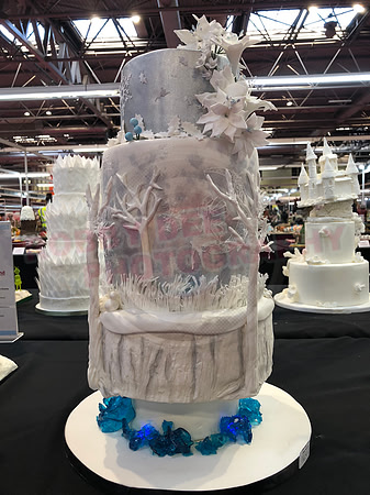 Class E: Fantasy Winter Wonderland