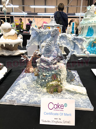 Class E: Fantasy Winter Wonderland