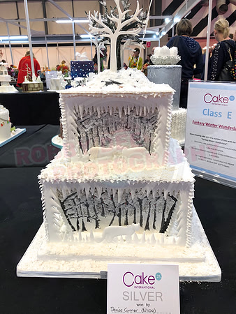 Class E: Fantasy Winter Wonderland
