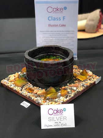 Class F: Illusion Cake