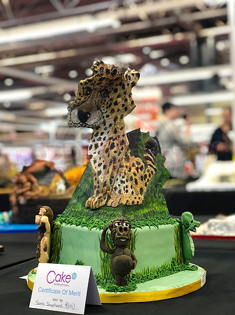 Class F: Illusion Cake