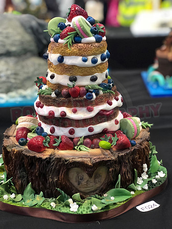 Class F: Illusion Cake