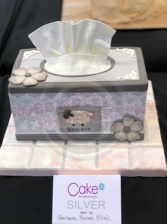 Class F: Illusion Cake