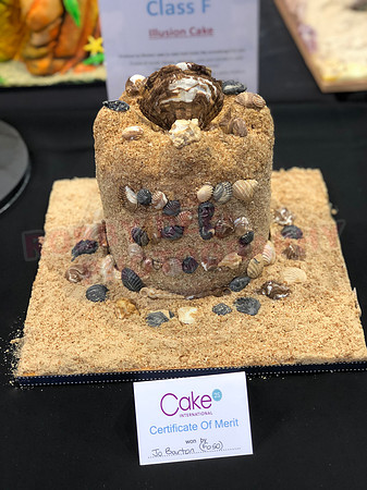 Class F: Illusion Cake