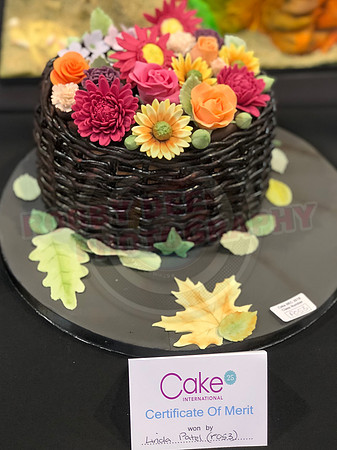 Class F: Illusion Cake
