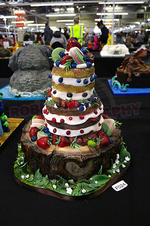 Class F: Illusion Cake