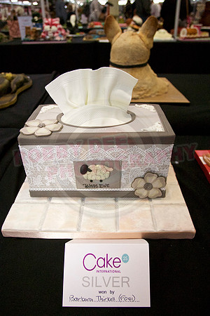 Class F: Illusion Cake