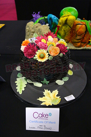 Class F: Illusion Cake