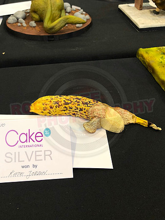 Class M: Small Decorative Exhibit