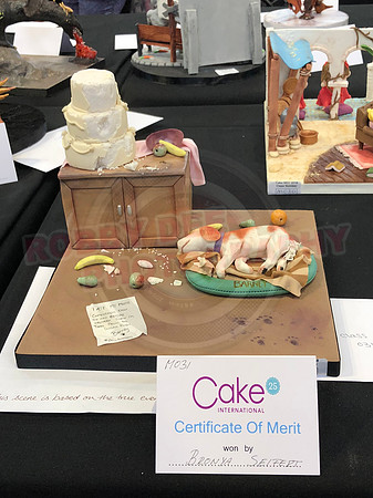 Class M: Small Decorative Exhibit
