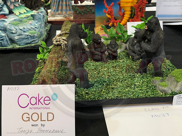 Class M: Small Decorative Exhibit