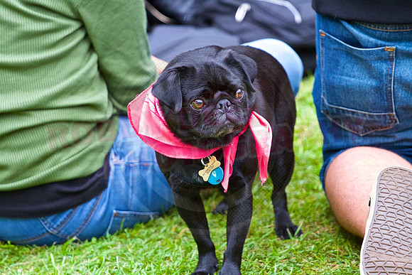 Reading Pride 2016 Celebration