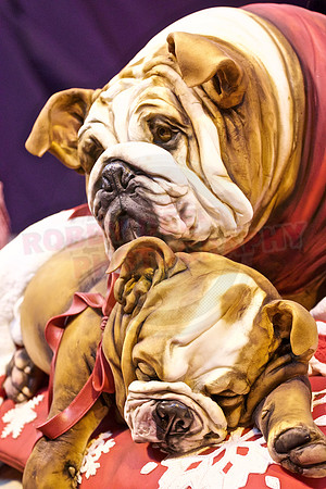 Cake International November 2016 NEC Birmingham