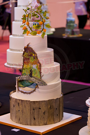 Cake International November 2016 NEC Birmingham