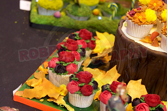 Cake International November 2016 NEC Birmingham