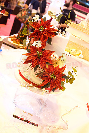 Cake International November 2016 NEC Birmingham